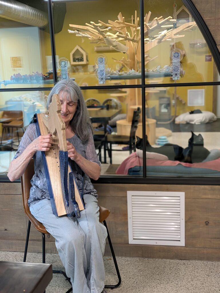 harp at cat cafe pic